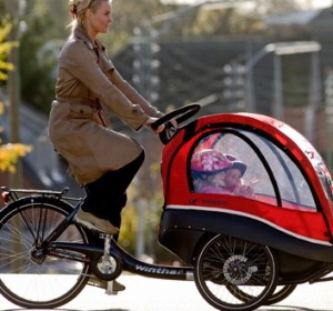 cargo tricycle 2