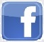 facebook logo tiny