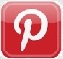 pinterest logo tiny