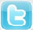 twitter logo tiny